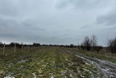 Spațiu comercial, în Coșoveni - 2