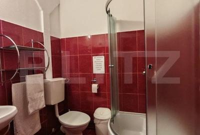 Casă individuală cu 9 camere cu Teren 3800 Mp în Glăjărie - 10