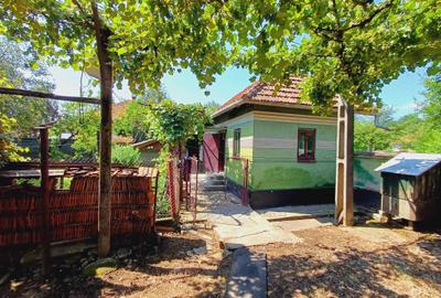 Casă cu 2 camere în Bârsău - 3