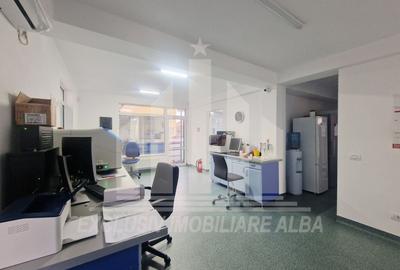 Spațiu comercial, de 400 mp, în Cetate - 5