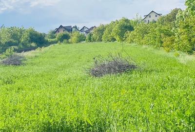 Teren de 5200 mp, în Ipotești - 4