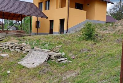 Casă cu 2 camere cu Teren 2000 Mp în Brebu - 6