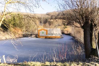 Mures centru evenimente, afacere la cheie, restaurant cu MiniPensiune, 1,8ha teren - 3