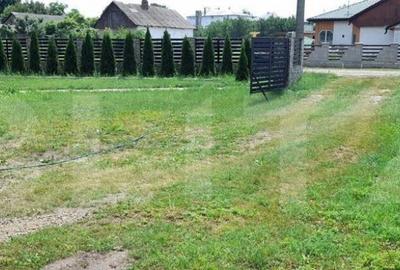 Casă cu 5 camere cu Teren 3000 Mp în Central - 9