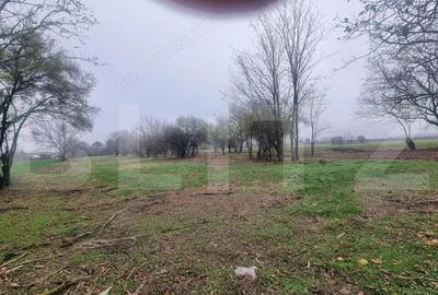 OPORTUNITATE TEREN 0,9 Ha intravilan constructii+extravilan - 16