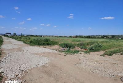 Teren de 10000 mp, în Jucu - 11