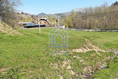 Teren de 10566 mp, în Vama - 2