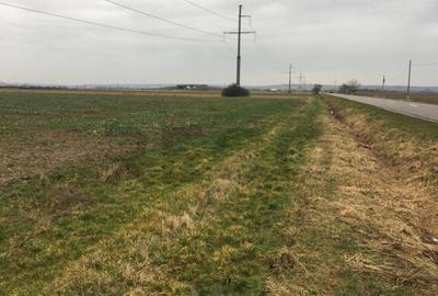 Reco Teren Intravilan in Chiribis - 1