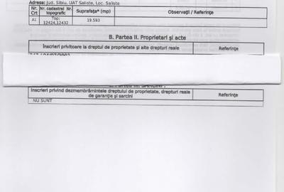 Teren montan, 19.593mp, 32.000 euro , zona Saliste-Crint,  priveliste frumoasa - 5