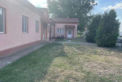 Vand casa caramida Peciu Nou - 4