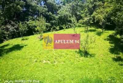 Teren de vanzare in Comarnic (zona Poiana) - 2