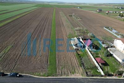 Teren de vanzare, Com. Nicolae Balcescu, Jud. Bacau - 3