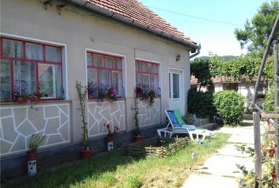 Casă cu 3 camere în Dobra - 5