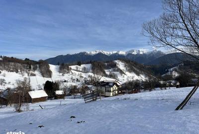 Teren de 2881 mp, în Bran - 17