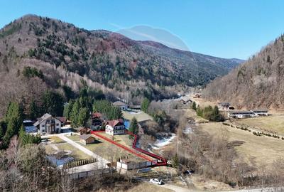 Casă cu 7 camere cu Teren 986 Mp în Plaiul Foii - 3