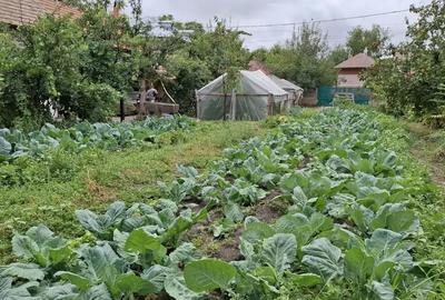 Casă cu 6 camere în Ștorobăneasa - 8