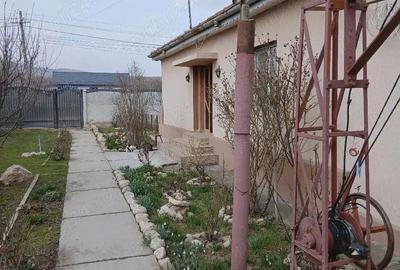 Casă cu Teren 1436 Mp în Merei - 5