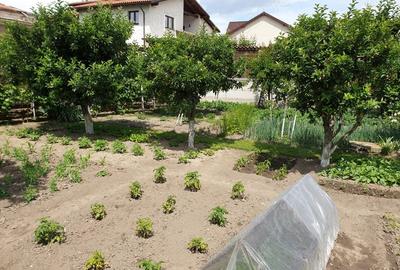 Casă cu 6 camere cu Teren 939 Mp în Central - 7