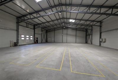Hala moderna, izolata termic + rampa + platforma betonata - de inchiriat - carti - 7
