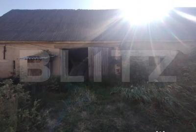 Casă cu 4 camere cu Teren 6700 Mp în Dorolea - 5