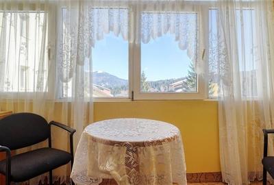 Comision cumparator 0%-Predeal, apartament 2 camere mobilat si utilat - 2