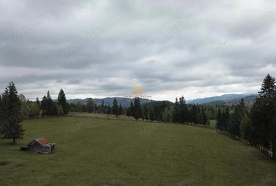 Teren 2804 mp, la munte! In Bucovina Fundu Moldovei! - 1