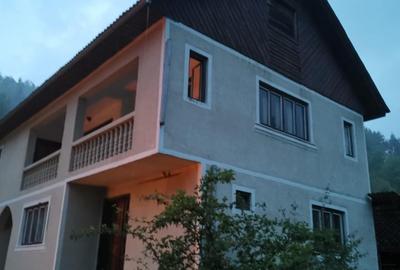 Casă individuală cu 4 camere cu Teren 39927 Mp în Valea Vișeului - 9