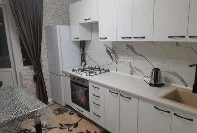 Apartament cu 1 camera Faget - 1