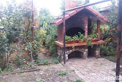 Casă cu 5 camere cu Teren 4200 Mp în Reghin - 7