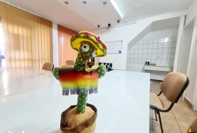 Spațiu comercial, de 45 mp, în Florilor - 17