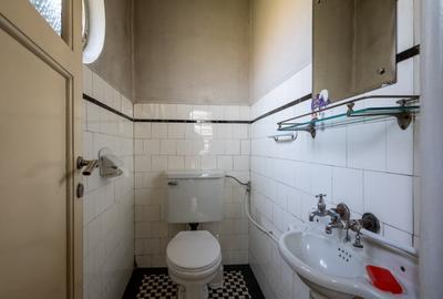 O vila cu prestanta, in Cismigiu - 28