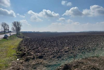 Teren agricol extravilan de 3618 mp, în Bogdan Vodă - 2