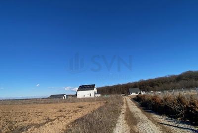Teren agricol extravilan de 8100 mp, în Ciolpani - 3