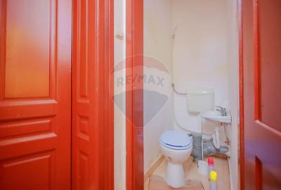 Casă de Vânzare cu 4 camere, Ultracentral - Cuza Vodă - 16