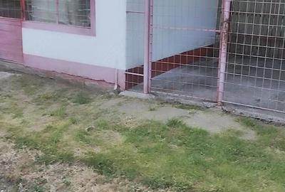 Spațiu comercial, de 20 mp, în Oarja - 1
