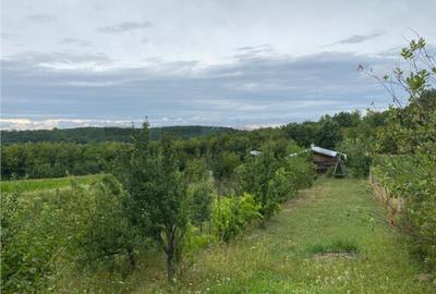 RECO Casa cu teren in Hidiselul de Sus - 1