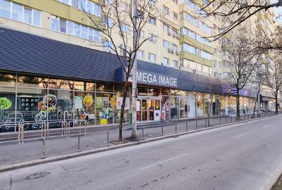 Spatiu comercial de inchiriat Sos. Nicolae Titulescu nr. 95-103 - 5