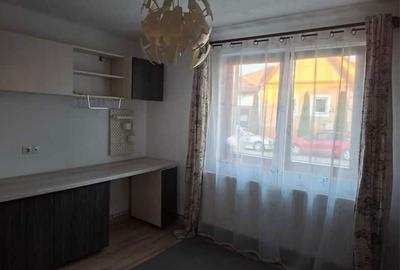 Casă cu 2 camere în Turnișor - 6