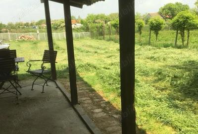 Casă cu 3 camere cu Teren 1748 Mp în Checea - 6