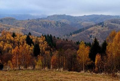 Teren Construcții intravilan de 7283 mp, în Moieciu de Jos - 13