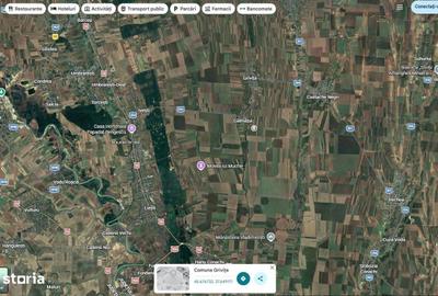 Teren de 5900 mp, în Liești - 3