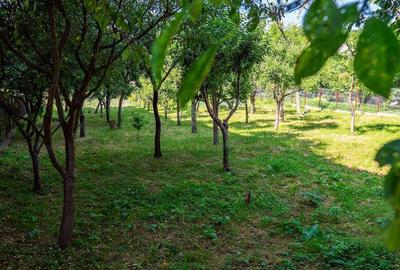 Casă cu Teren 17 Mp în Central - 10