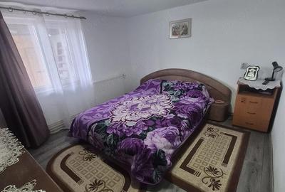 Casă cu 2 camere cu Teren 3000 Mp în Ocna Dejului - 4