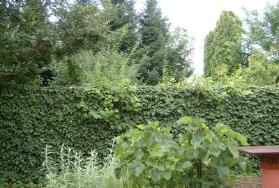 Casă individuală cu 4 camere în Ferme - 5