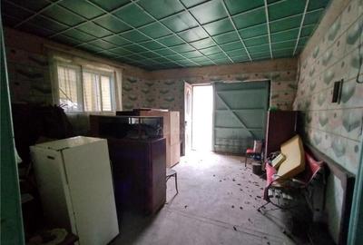 Bogodint, Casa 440mp cu 4 Hectare Teren, Pret Negociabil - 12