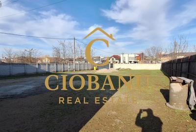 Casa de vanzare zona Damila-Capsunarie - 18