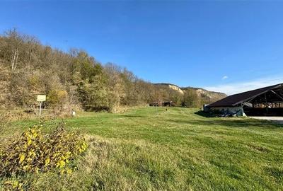 Transilvania Camping, domeniu de 14.400mp, Sanmarghita de Mures:2cladiri, aparta - 56