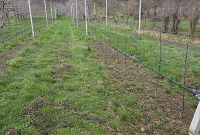 Spațiu comercial, în Voinești - 4