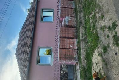 Vand casa la tara - 1