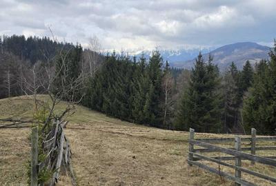 Teren de 3040 mp, în Bran - 8